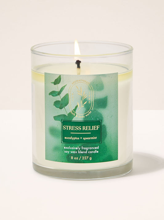 Eucalyptus Spearmint Single Wick Candle