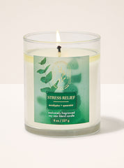 Eucalyptus Spearmint Single Wick Candle