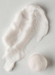 Vanilla Bean Noel Shapeable Soap