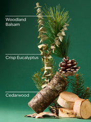 Fresh Balsam Fragrance Booster