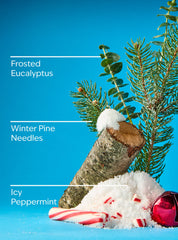 Frosted Forest Gentle & Clean Foaming Hand Soap