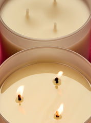 Vanilla Bean Noel 3-Wick Candle