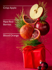 Bright Christmas Morning Car Fragrance Refill