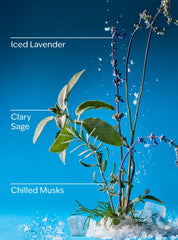 Iced Blue Lavender Wallflowers Fragrance Refill