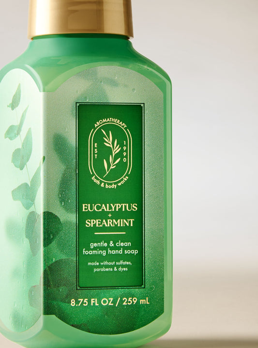 Eucalyptus Spearmint Gentle & Clean Foaming Hand Soap
