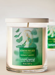 Eucalyptus Spearmint Single Wick Candle