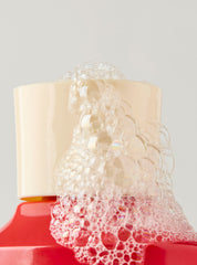 Peppermint Bark Truffle Body Wash