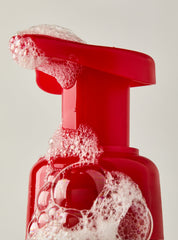 'Tis The Season Gentle & Clean Foaming Hand Soap