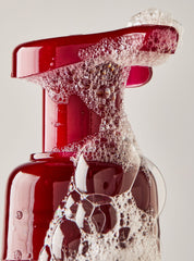 Bright Christmas Morning Gentle & Clean Foaming Hand Soap