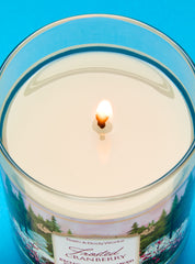 Frosted Cranberry Single Wick Candle